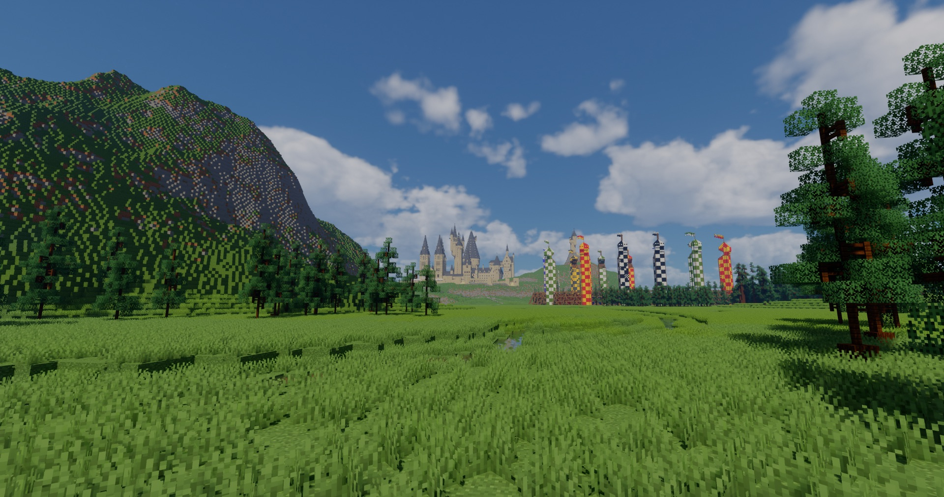 Quidditch Pitch